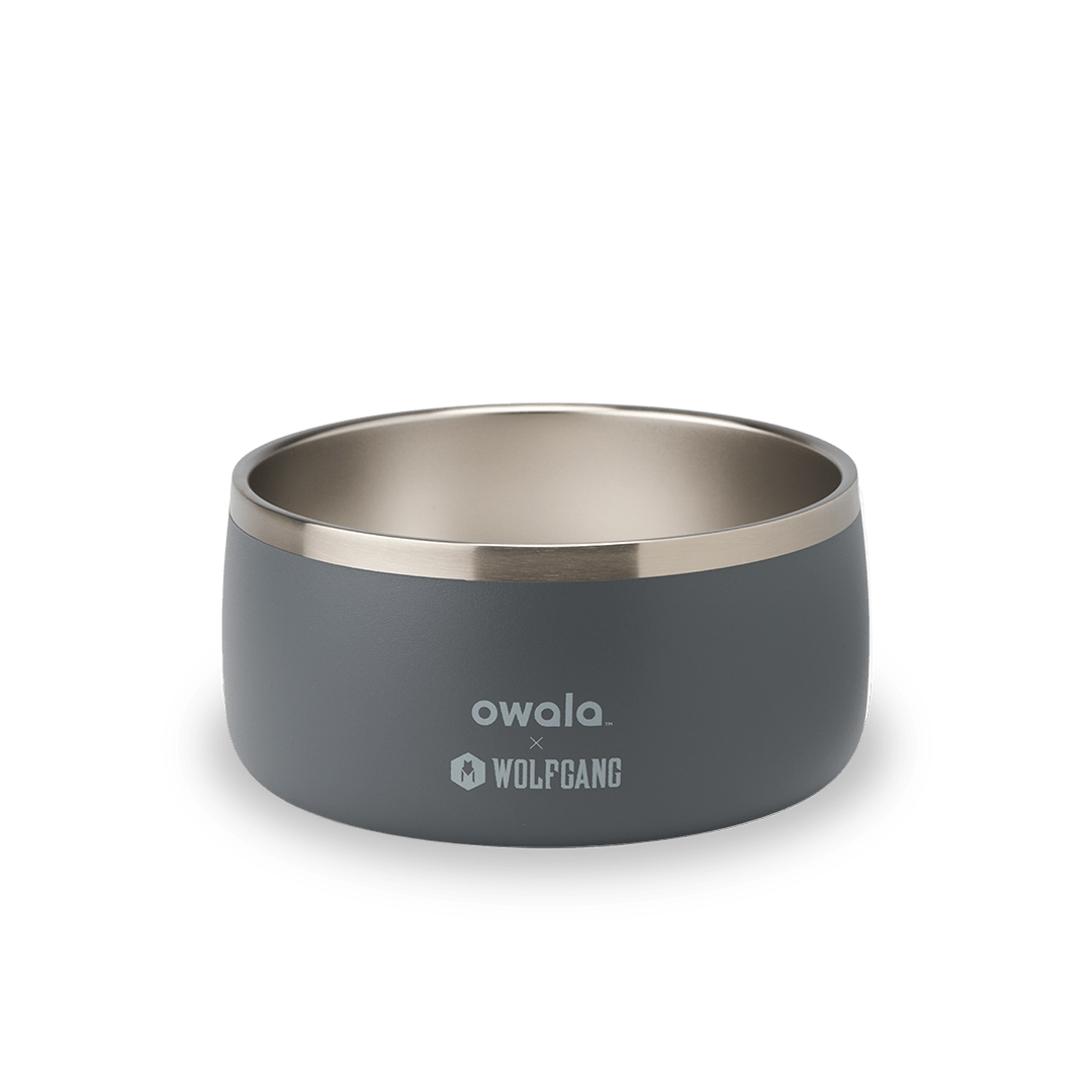Pet Bowl JUVO3 RC8LFG G6NZFL