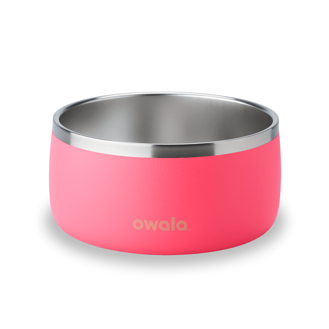 Pet Bowl JUVO3 RC8LFG G6NZFL