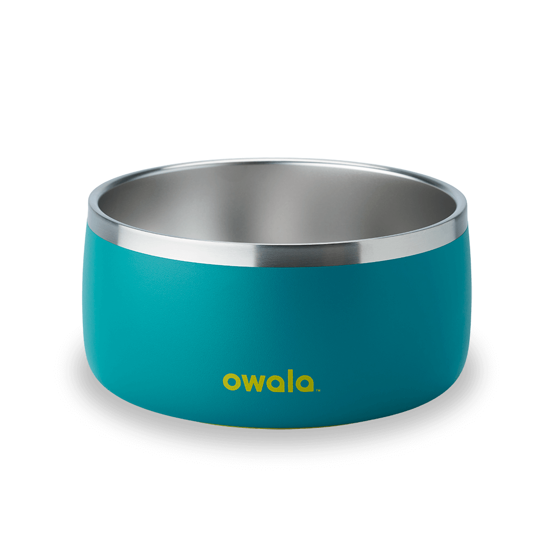Pet Bowl JUVO3 RC8LFG G6NZFL