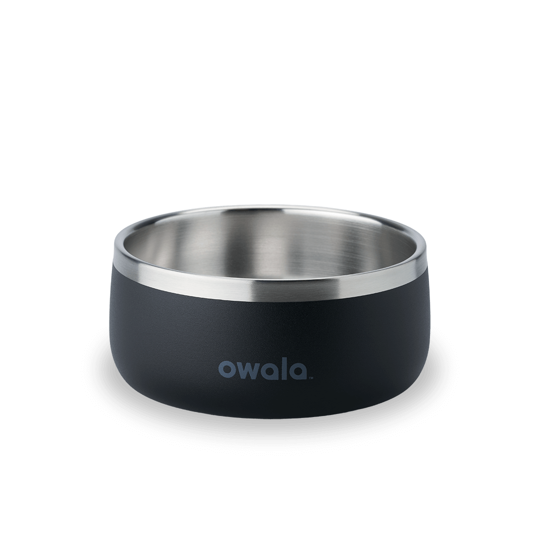Pet Bowl JUVO3 RC8LFG G6NZFL