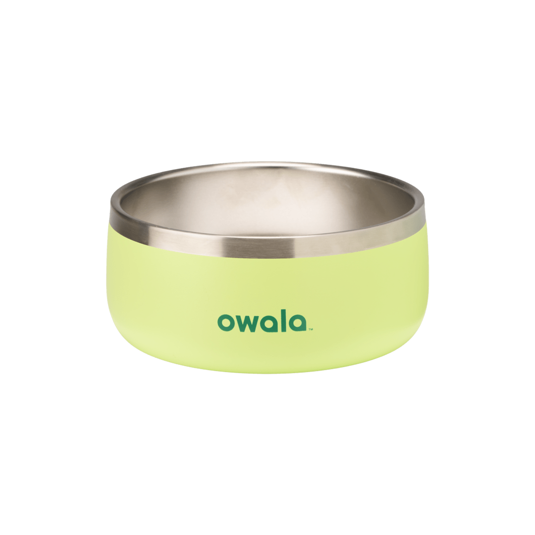 Pet Bowl JUVO3 RC8LFG G6NZFL