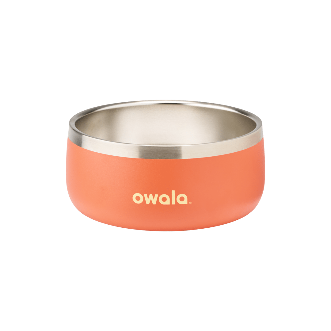 Pet Bowl JUVO3 RC8LFG G6NZFL