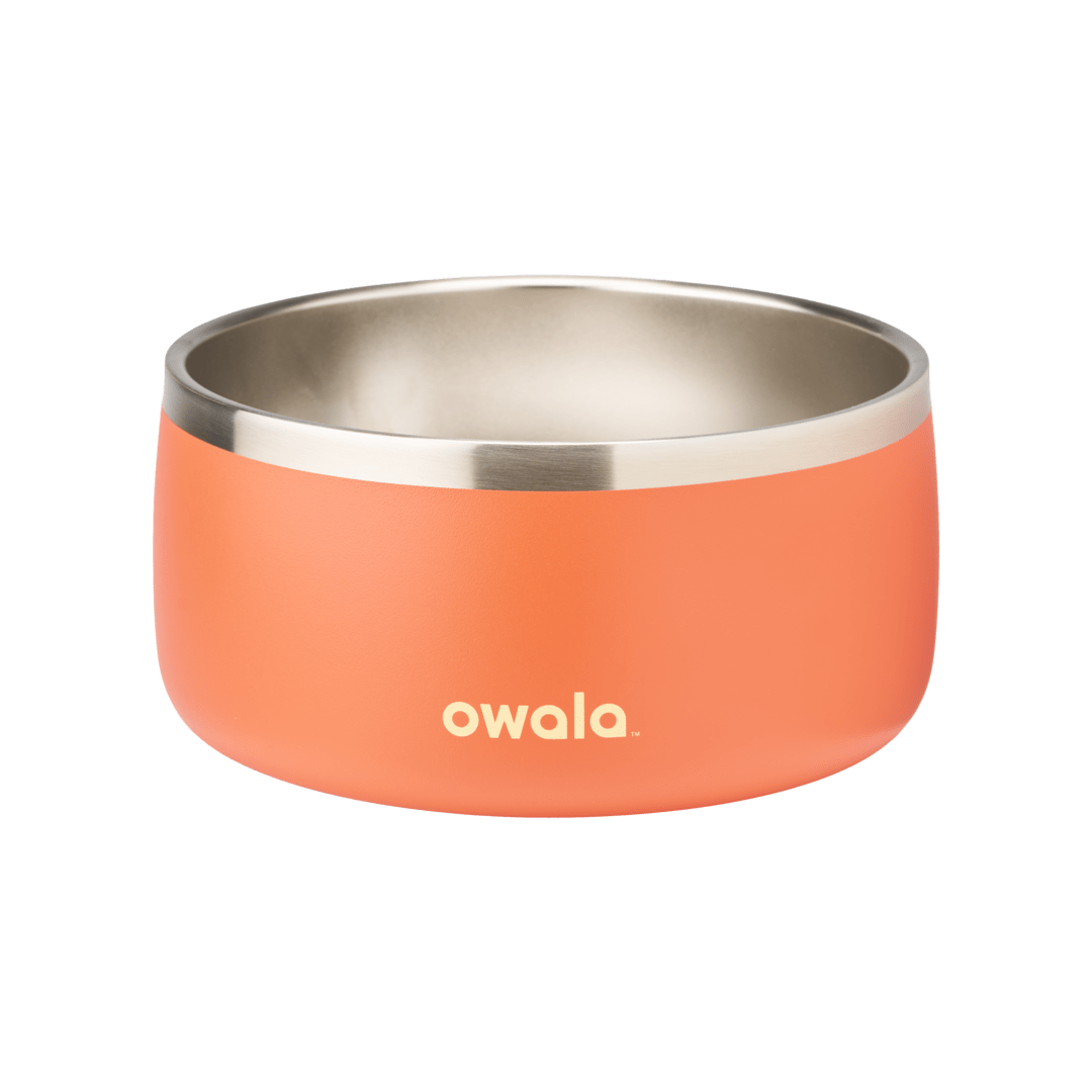 Pet Bowl JUVO3 RC8LFG G6NZFL