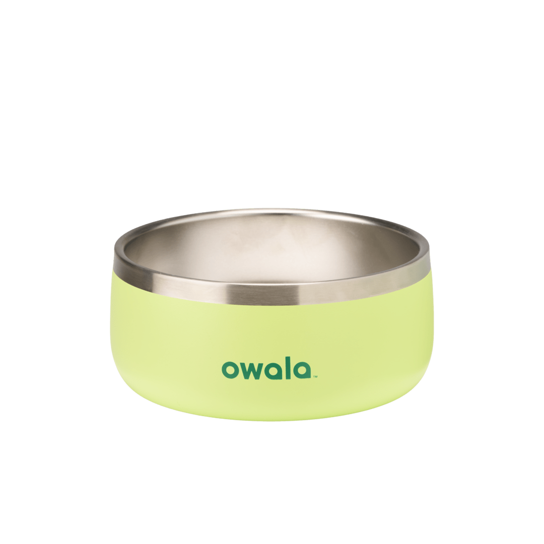 Pet Bowl JUVO3 RC8LFG G6NZFL