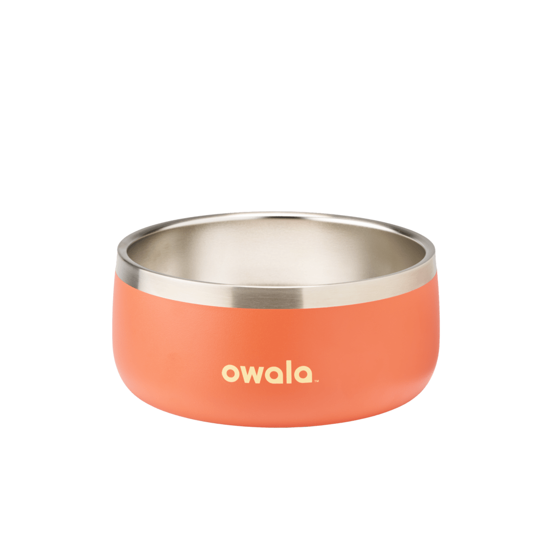 Pet Bowl JUVO3 RC8LFG G6NZFL