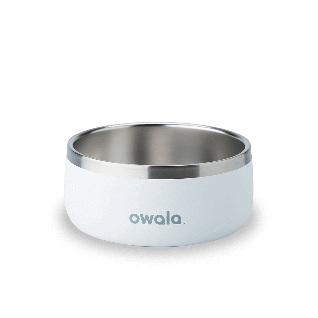 Pet Bowl JUVO3 RC8LFG G6NZFL