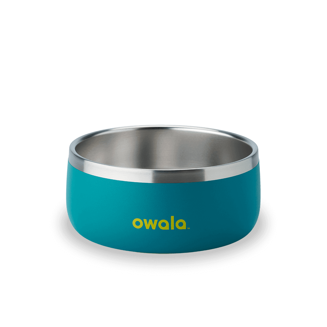 Pet Bowl JUVO3 RC8LFG G6NZFL
