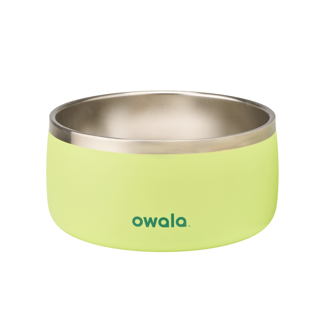 Pet Bowl JUVO3 RC8LFG G6NZFL