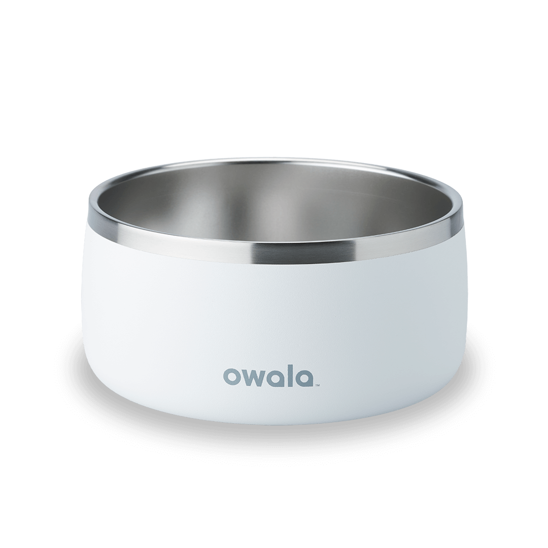 Pet Bowl JUVO3 RC8LFG G6NZFL