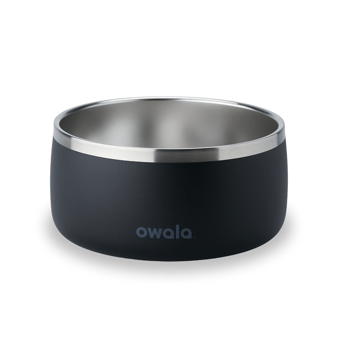 Pet Bowl JUVO3 RC8LFG G6NZFL