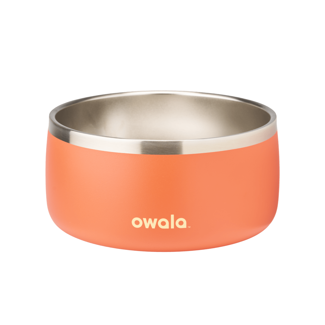 Pet Bowl JUVO3 RC8LFG G6NZFL