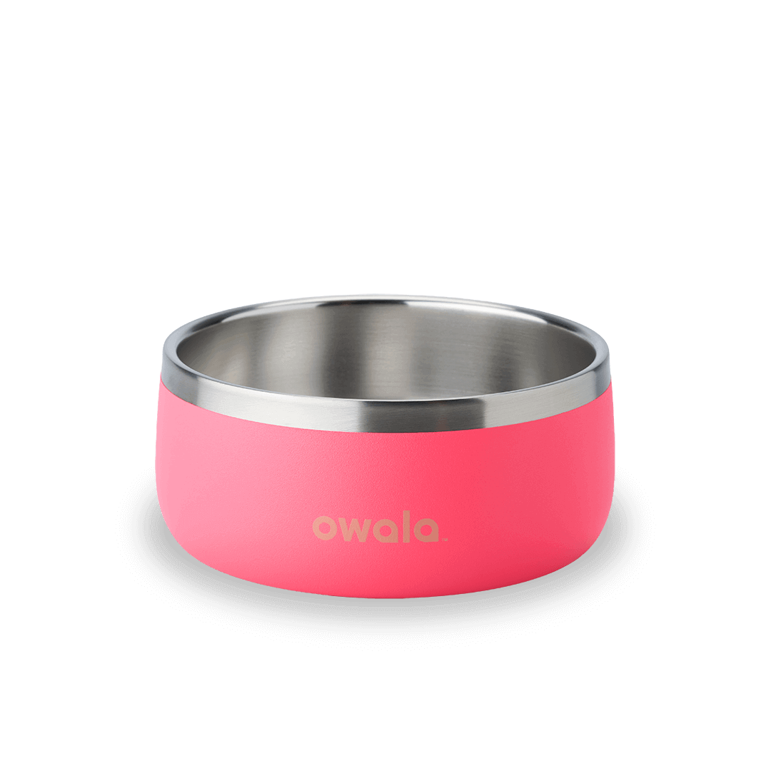 Pet Bowl JUVO3 RC8LFG G6NZFL