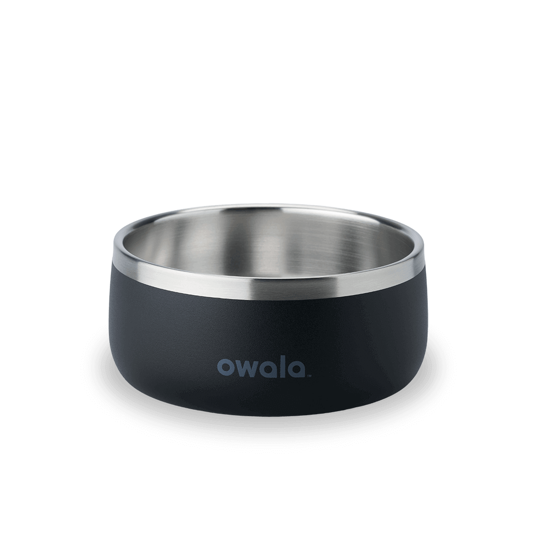 Pet Bowl JUVO3 RC8LFG G6NZFL